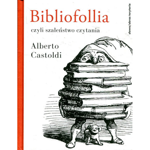 Bibliofollia, czyli szaleństwo czytania