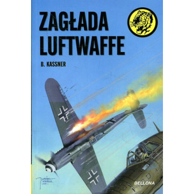 Zagłada Luftwaffe