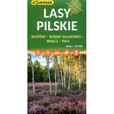 Lasy Pilskie 1:50 000