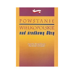 Powstanie wielkopolskie nad środkową Obrą